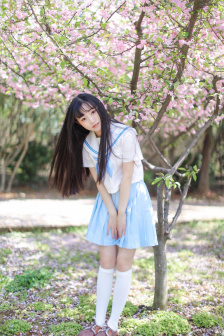 巡回检察组1